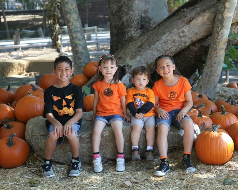 Richfield Pumpkin Patch activities are kid friendly