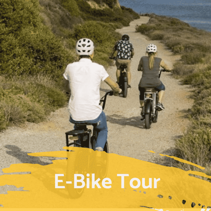 Electric Bike Rentals