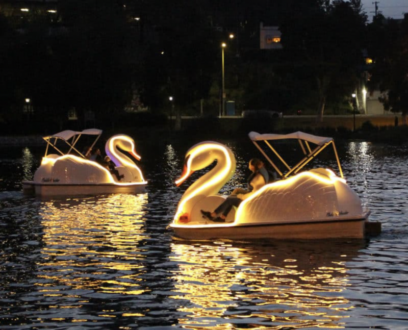 Minneapolis, St. Paul gain a flock of swan boat rentals