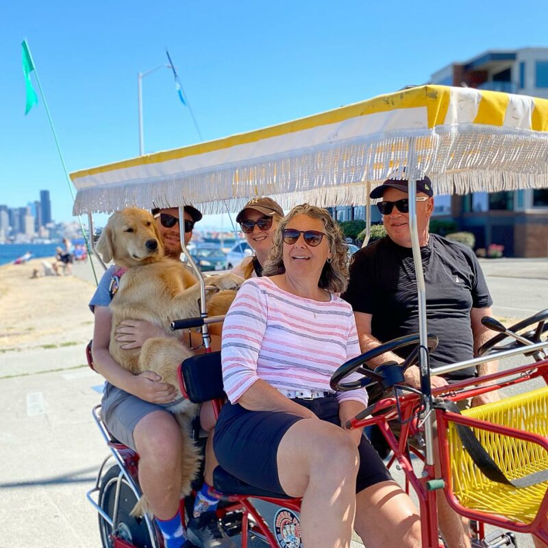 is alki beach dog friendly