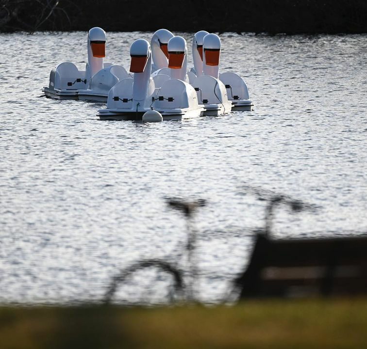 Swan Boat Rides in Lake Como Wheel Fun Rentals