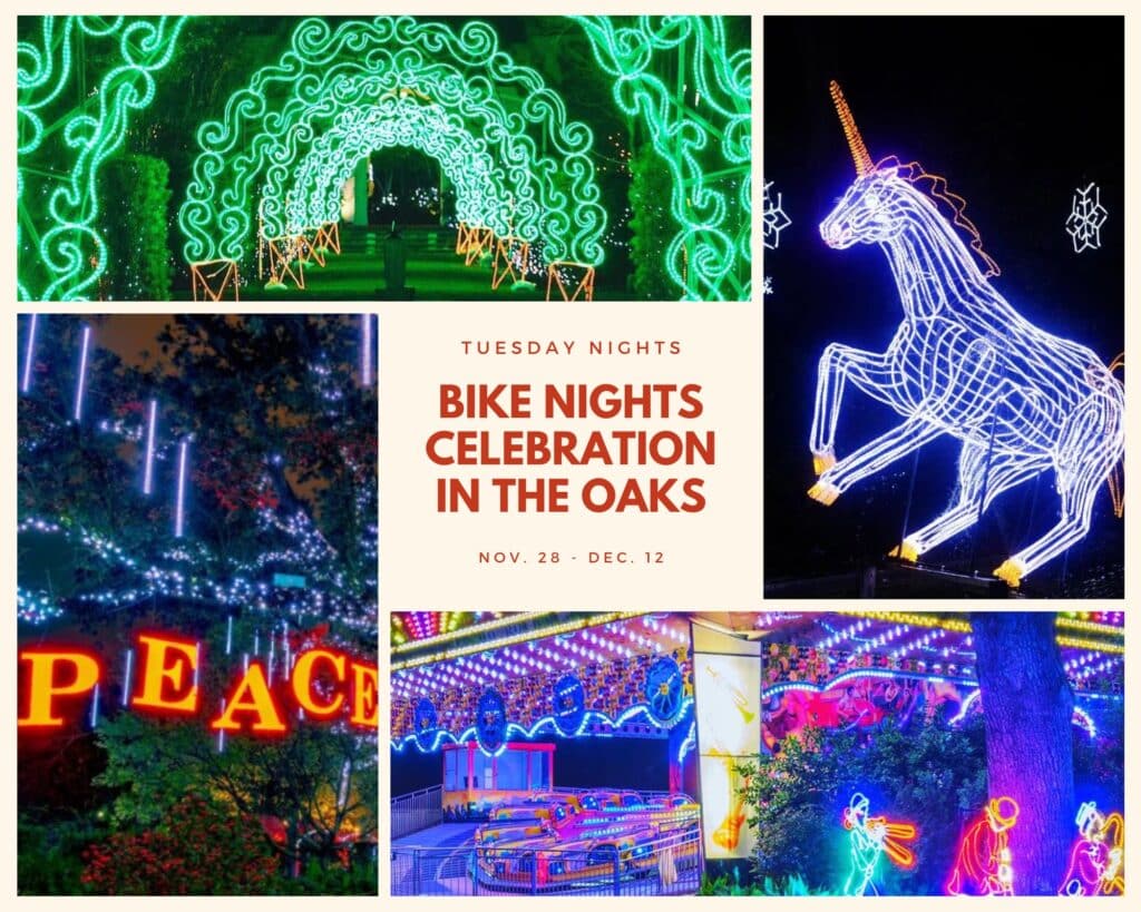 Illuminated 4Wheel Surrey Cycles Return For New Orleans City Park’s