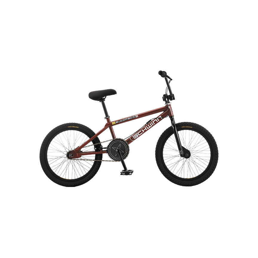 2-Wheeled Bike Rental, Bicycle Rental, kids bike rental