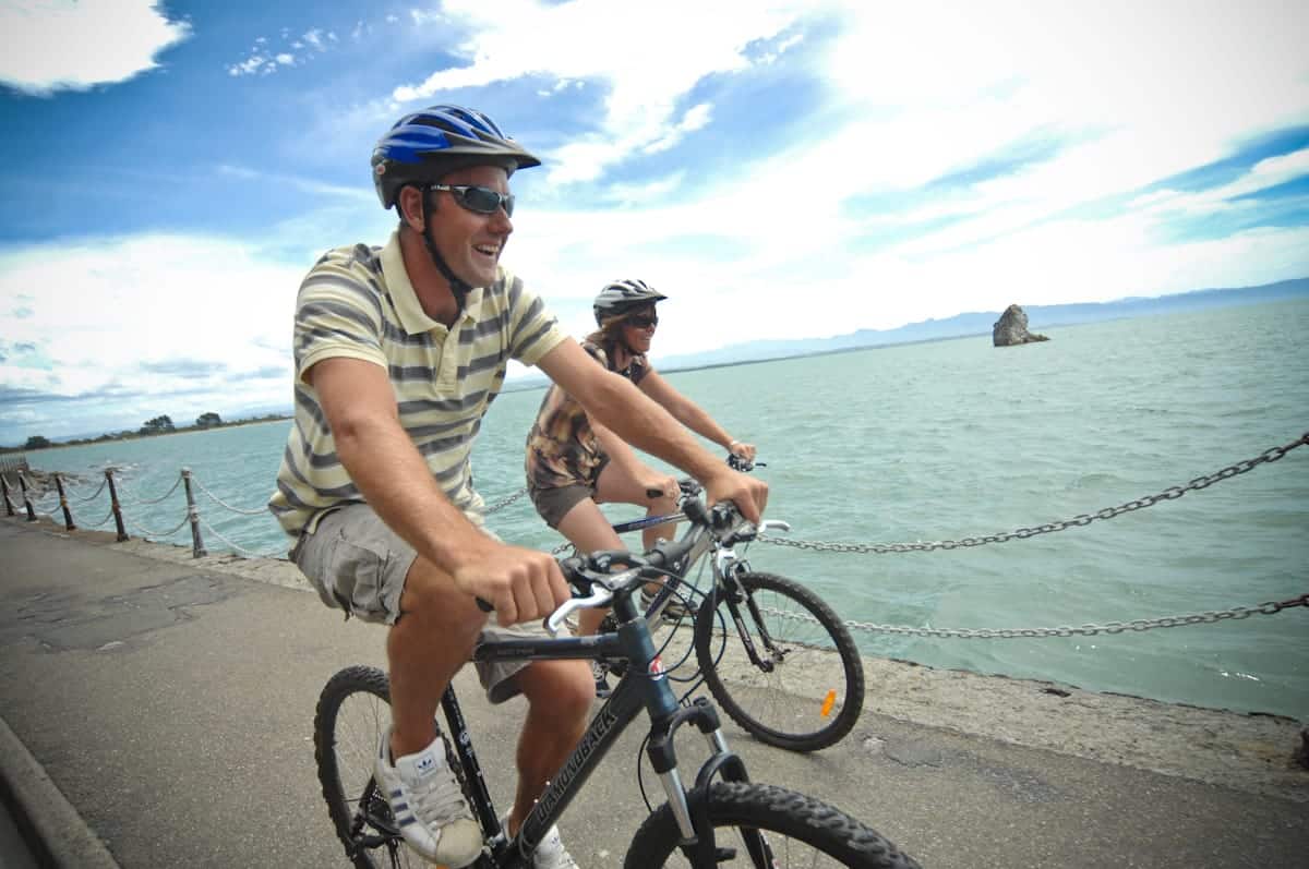 Shoreline store beach cruiser