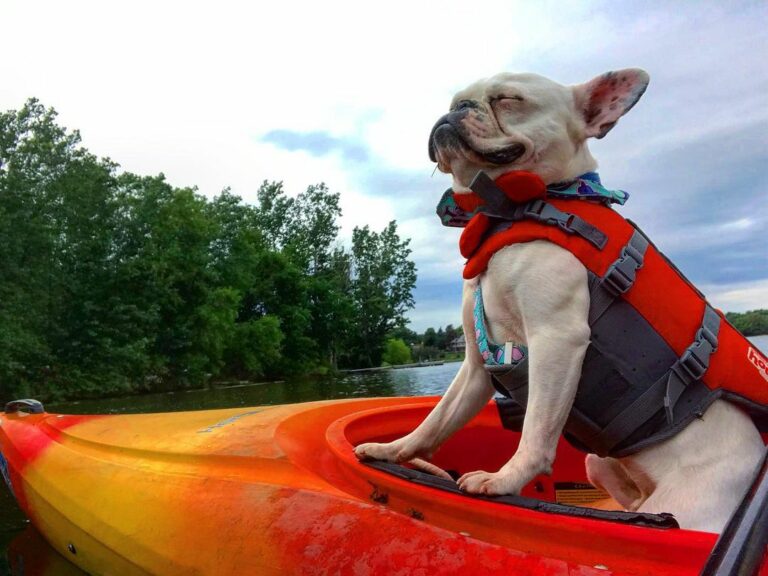Wheel Fun Rentals Mn Boat Rentals & Bike Rentals in Minneapolis, MN Wheel Fun Rentals