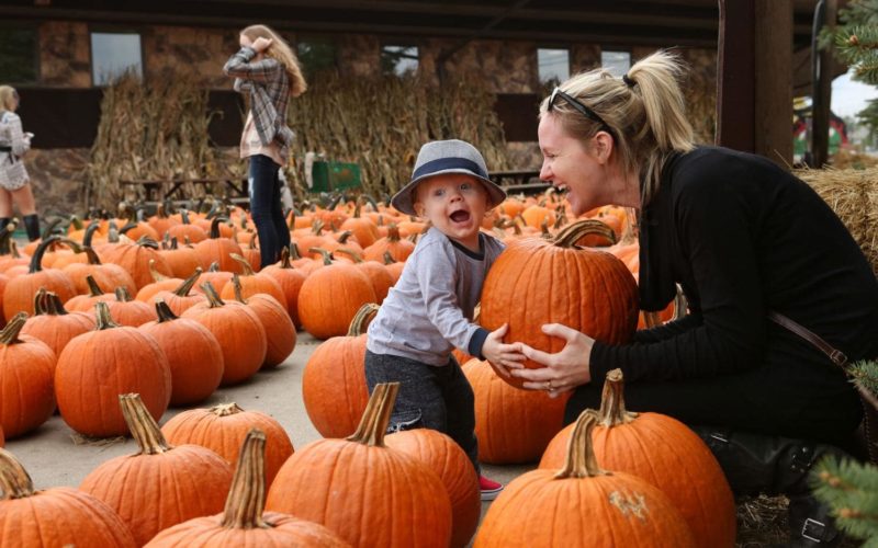 Richfield Pumpkin Pact Fall Fun