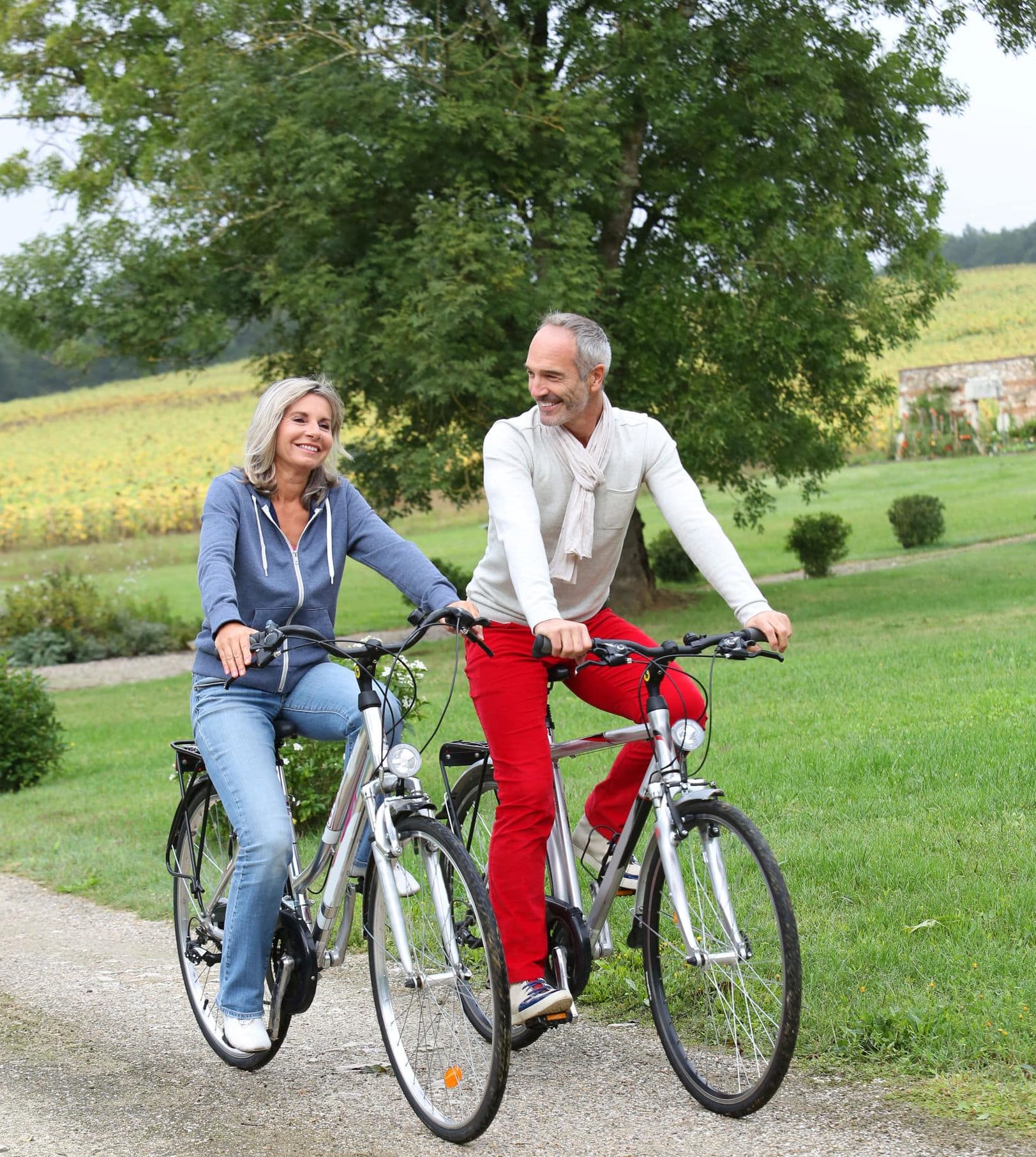 Bike Rentals & Bike Tours in Louisville, Kentucky Wheel Fun Rentals