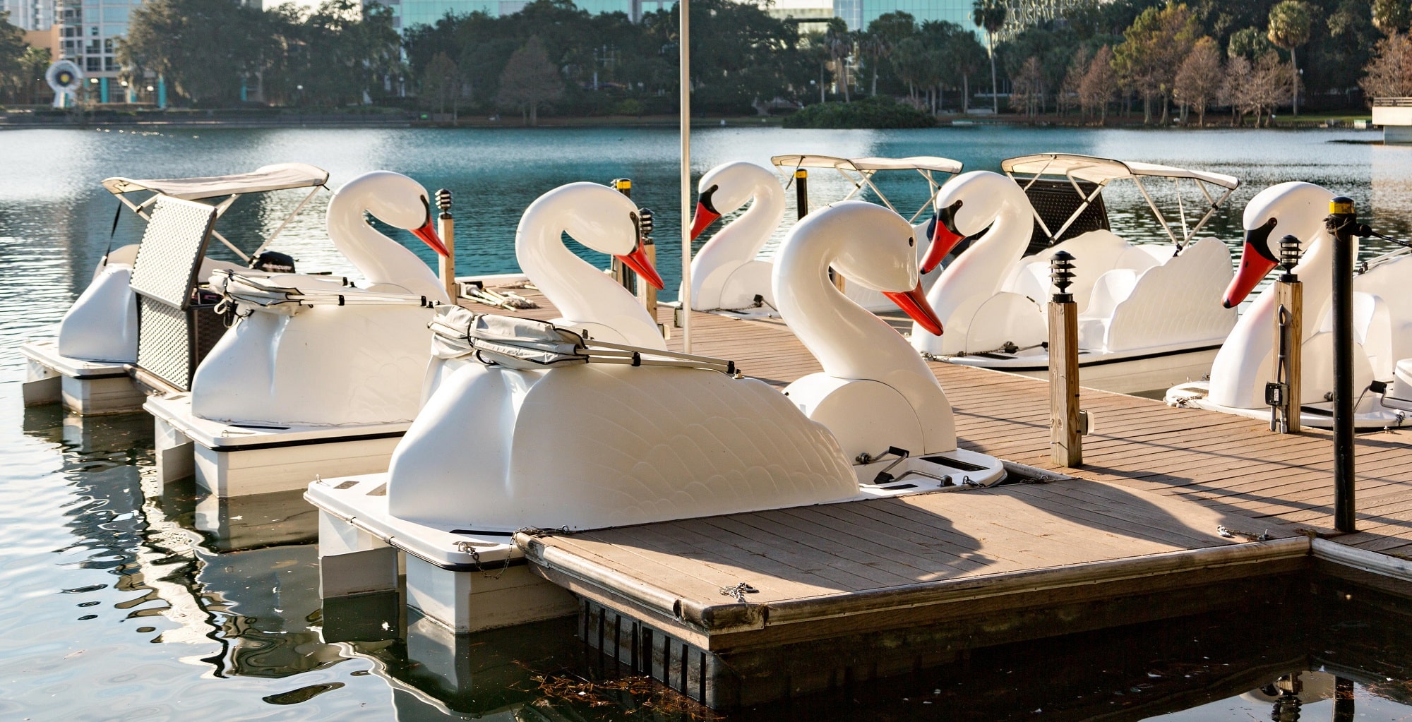 Los Angeles' Favorite Boat Rentals Wheel Fun Rentals Echo Park Swan Boats