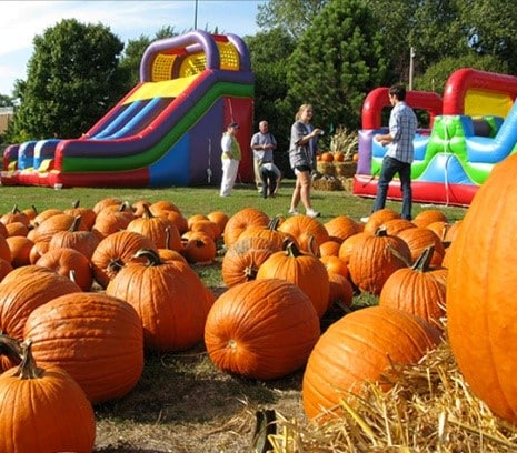 Pumpkin patch in Richfield, MN