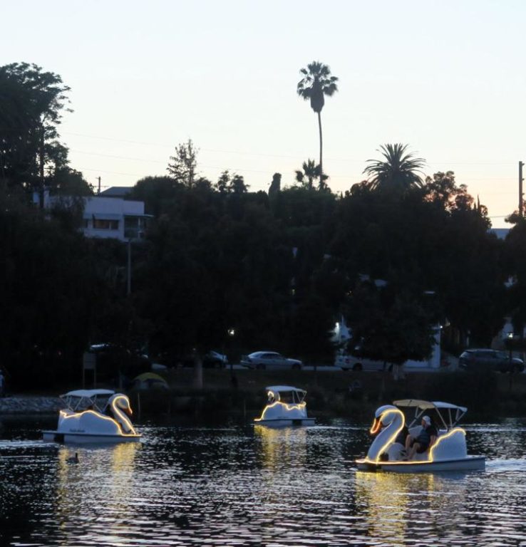 Swan Boats Light Up the Night at Echo Park Lake Wheel Fun Rentals