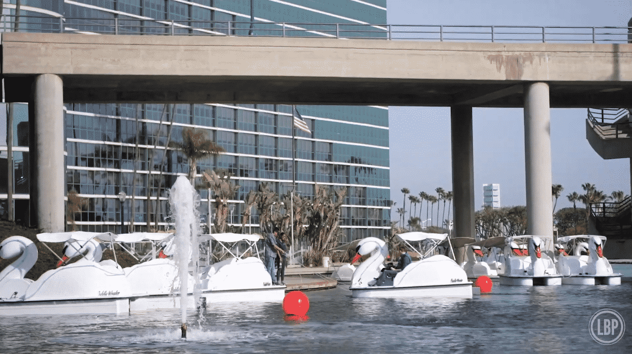 Swan Boats, Like Ones at Rainbow Lagoon, Have Nothing to Do with Swan