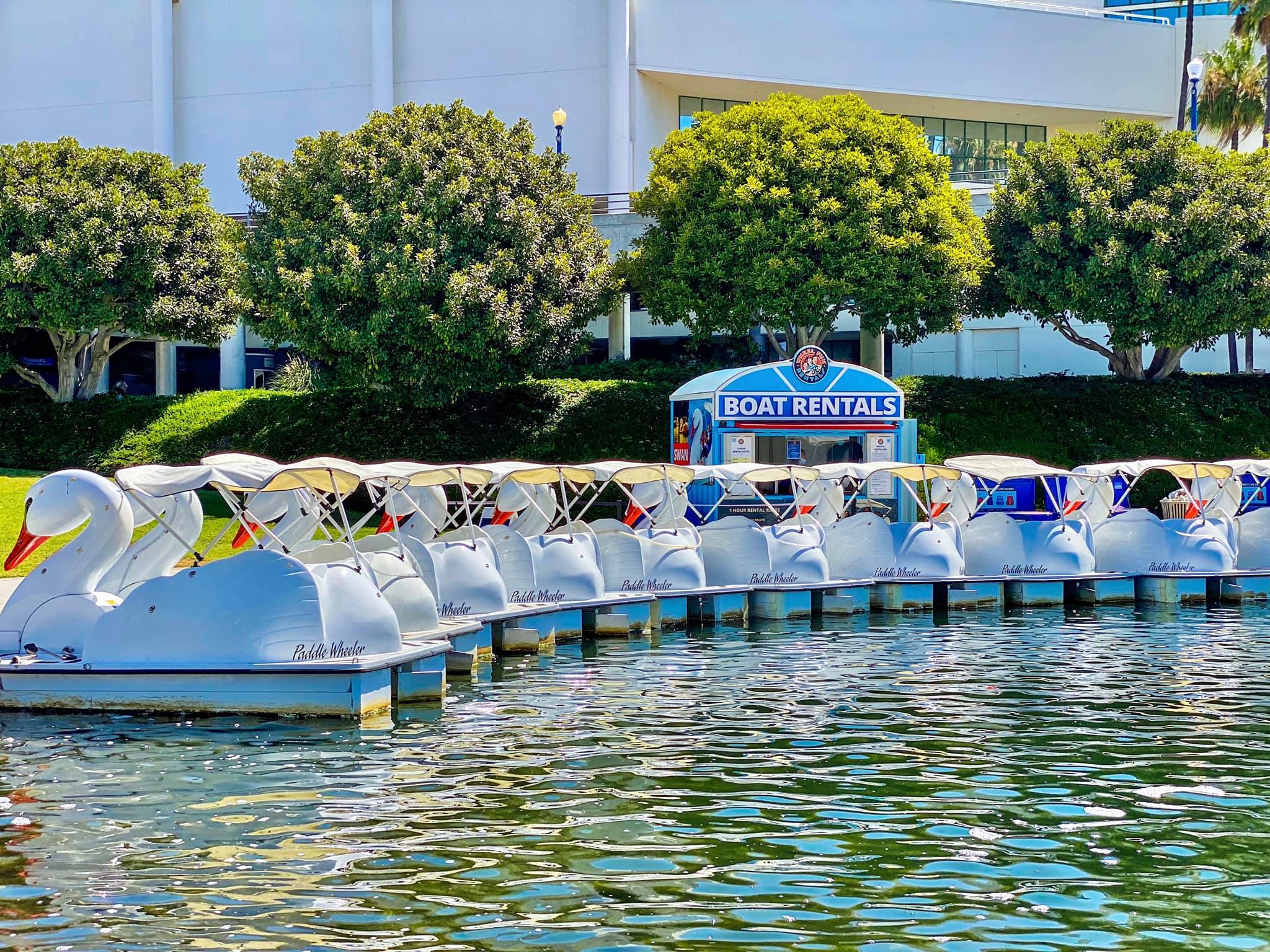 Rainbow Lagoon Swan Boats Wheel Fun Rentals
